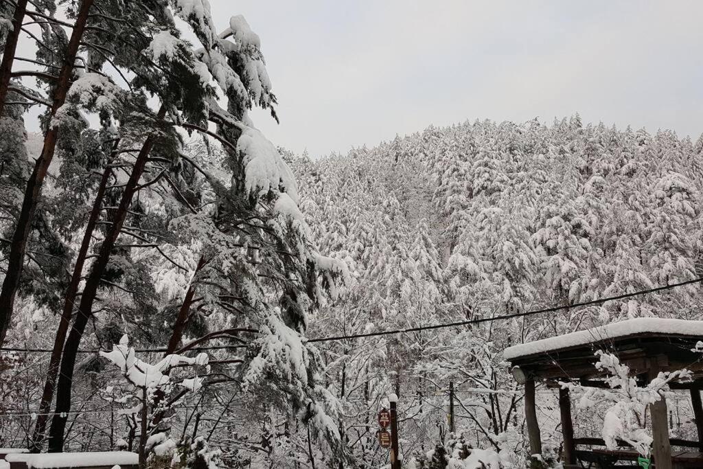 Blue Sky Milky Way Pension Yangyang Esterno foto