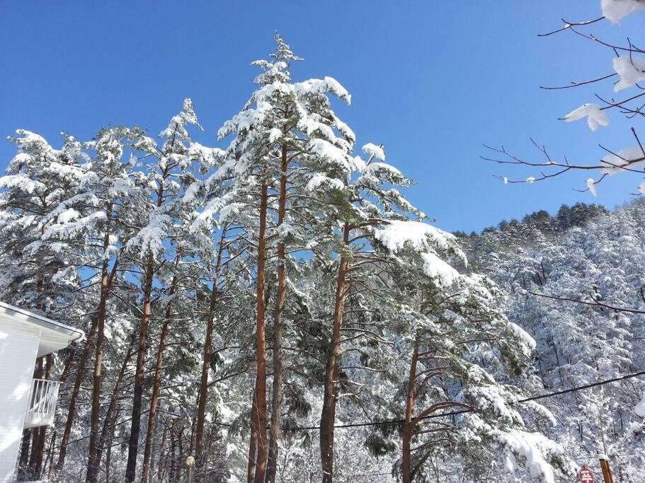 Blue Sky Milky Way Pension Yangyang Esterno foto