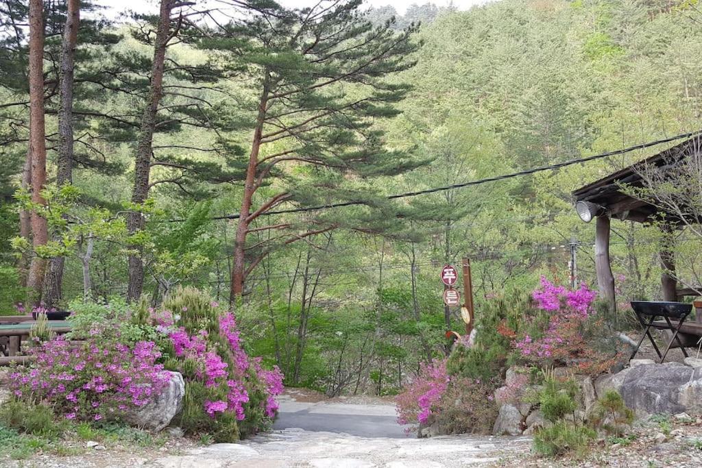 Blue Sky Milky Way Pension Yangyang Esterno foto